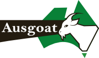 Ausgoat Logo